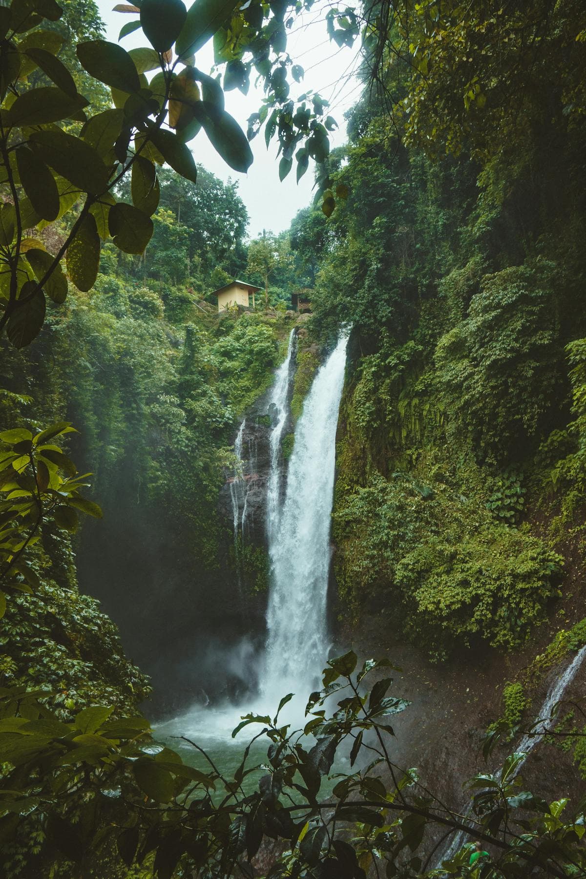 Central America